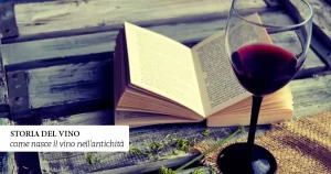 storia del vino
