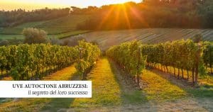 uve autoctone abruzzesi