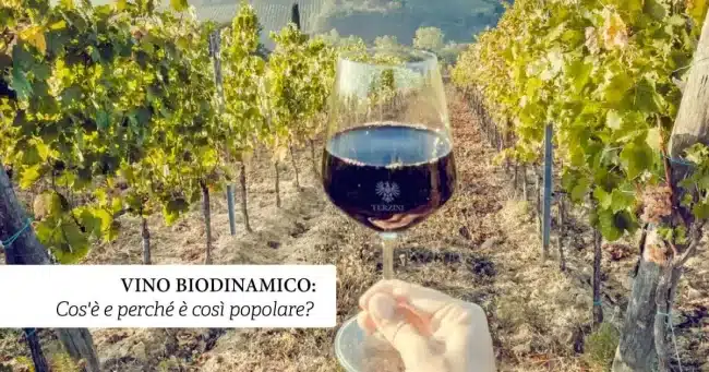 vino biodinamico