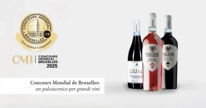 Concours Mondial de Bruxelles 2025